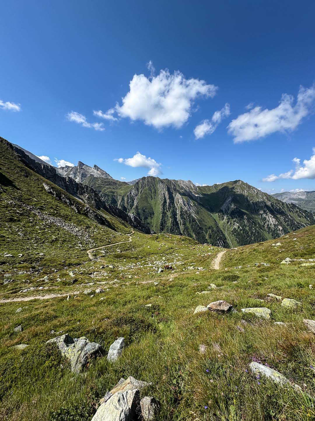 Tuxerjoch | alpinonline